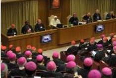 synod-pro.jpg
