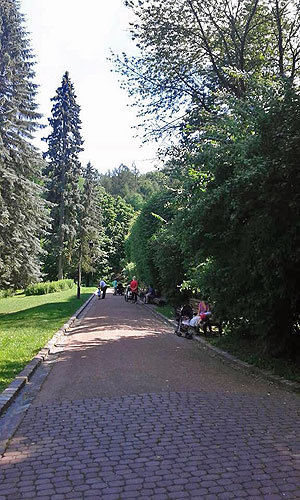 Ця алея Стрийського парку сьогодні символізує колишній південний край цвинтаря. Фото І.Чорновола
