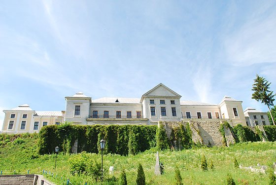 Палацово-замковий комплекс у Вишнівці
