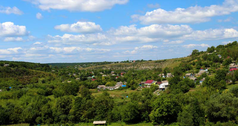 Панівці