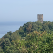 The forgotten centre of unity between the monasticism of the Eastern and Western Churches on Mount Athos_image