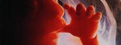 Всеукраинский совет Церквей призывает делегатов ПАСЕ обеспечить право врача на отказ делать аборты