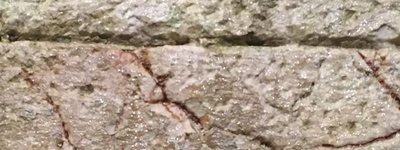 В Єрусалимі помітили знак приходу Месії: зі стін храму потекла вода