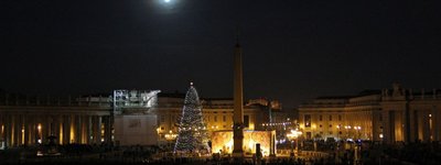 В этом году Рождественскую елку в Ватикан доставят из Польши
