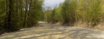 Прокуратура підозрює посадовців ліскомбінату у незаконному будівництві дороги на місці масових паломництв УГКЦ