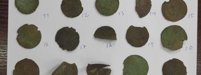Найденные в Житомирской области монеты оказались еще более уникальными, чем считали историки