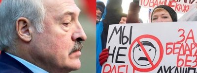 Белорусь против Лукашенко