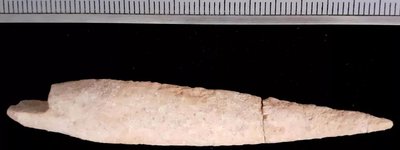 Археологи знайшли артефакт битви Біблійних часів, якому тисячі років