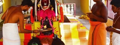 В Індії з'явився культ богині коронавірусу