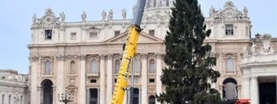 У Ватикані встановили різдвяну ялинку