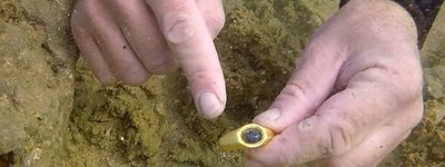 У затонулих кораблях біля Ізраїлю знайшли унікальний золотий перстень із зображенням "доброго пастиря" Ісуса