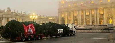 Через протести екологів Ватикан прикрашатиме інша різдвяна ялинка
