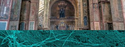 Науковці дослідили мікробні пошкодження фресок Софії Київської