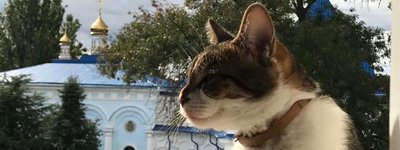 Настоятелька жіночого монастиря в Одесі привітала з Днем кота
