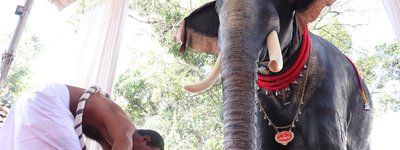 Індійський храм використовуватиме механічного слона для проведення ритуалів
