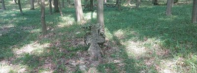 Один з "чумних" хрестів, знайдений у лісі біля Сатанова, серпень 2023.
