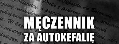 “Світло” та “тіні”  в “презентації” ПАПЦ власної історії