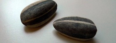 Порцелянове насіння з інсталяції Ай Вейвея "Kui Hua Zi" (Насіння соняшника). Галерея Тейт Модерн, Лондон.