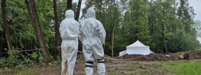 Мінкульт надав дозвіл на українсько-польські пошукові роботи у Волинській області