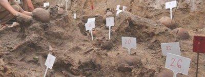 На Волині завершили ексгумаційні роботи у Волі Островецькій - виявили останки 48 людей