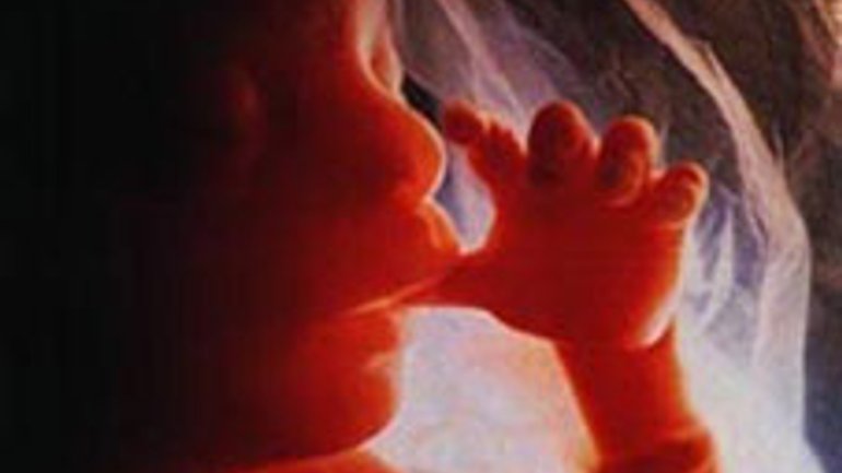 В УГКЦ вперше відзначено День пам‘яті абортованих дітей - фото 1