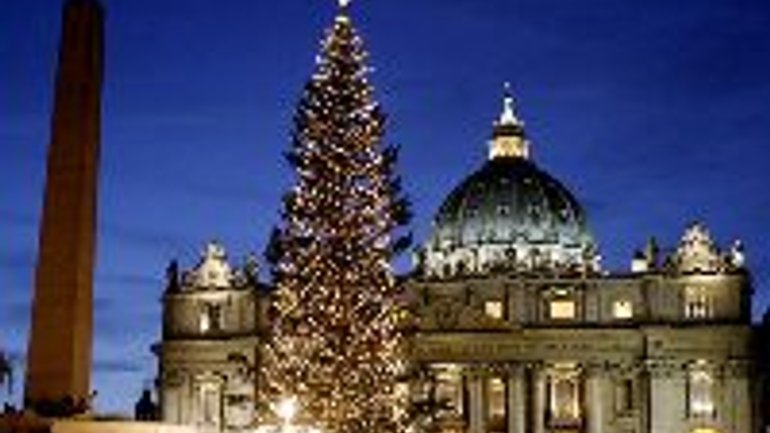30-метрову ялинку, яка прикрасить на Різдво Ватикан, сьогодні починають готувати до складного транспортування - фото 1
