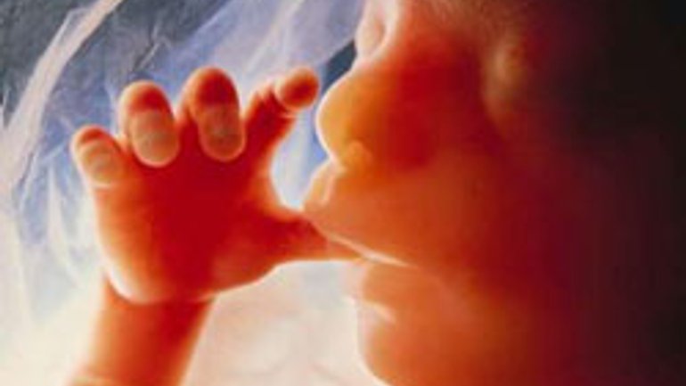 Вопрос об абортах предлагают вынести на референдум - фото 1