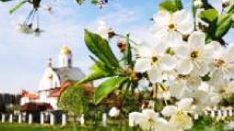 УПЦ проводить Всеукраїнську акцію «Квітучий храм» - фото 1