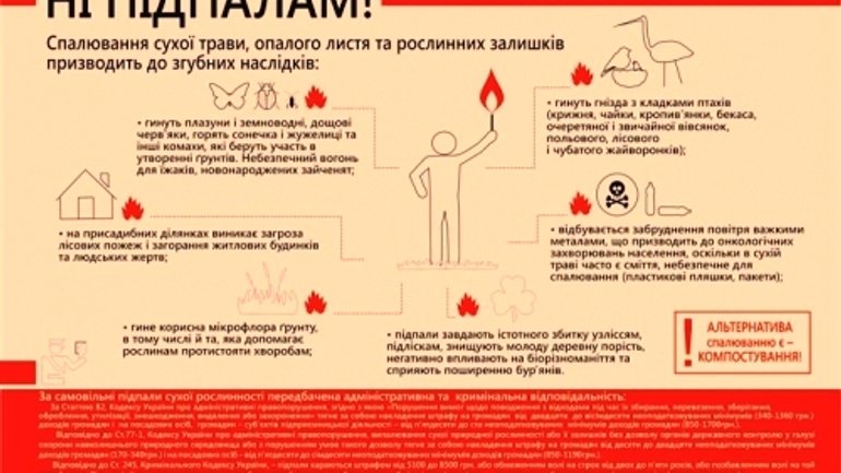Екобюро УГКЦ ініціює акцію проти шкідливих підпалів трави та листя - фото 1