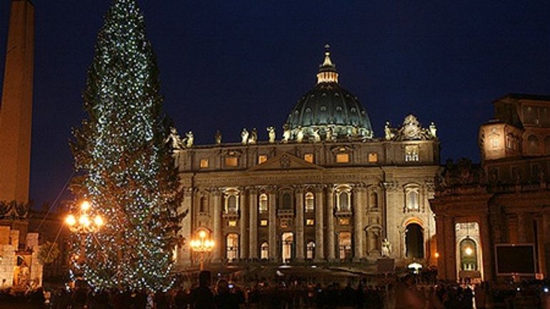 В этом году Ватикан украсит елка из Калабрии - фото 1