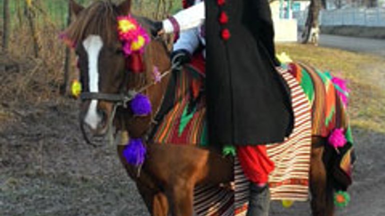Як на Прикарпатті з конем ходять засівати - фото 1