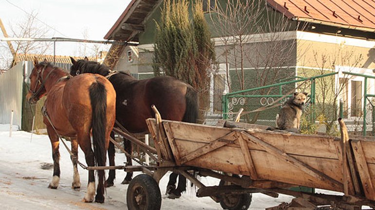 Через Глиняни до Свіржа і Винник - фото 1