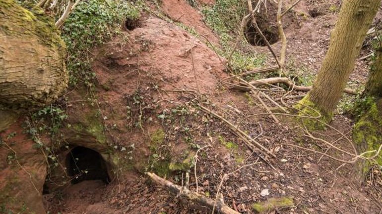 Кроляча нора привела до 700-річного підземного храму тамплієрів - фото 1