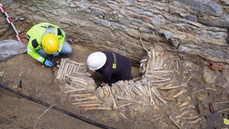 Стіну з людських кісток виявили археологи під церквою в Бельгії - фото 1