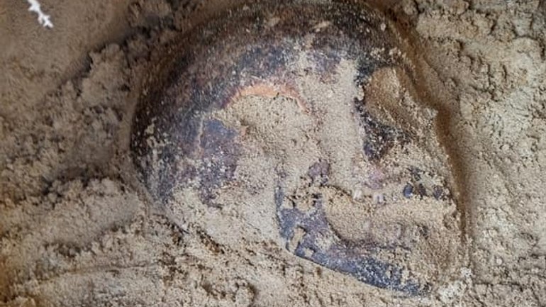 Поховання давньоримського часу знайшли археологи під Львовом - фото 1