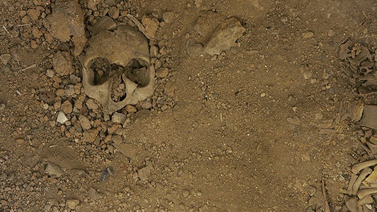 Skeletons of WWII-era nuns murdered by Soviets unearthed in Poland - фото 1