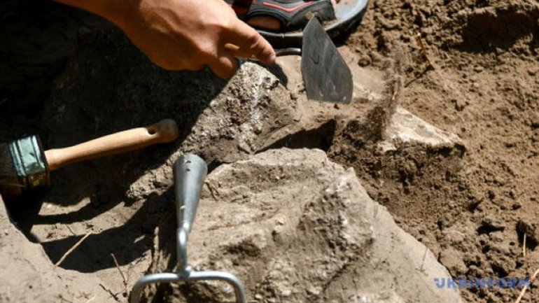“Чорні археологи” пошкодили середньовічний некрополь на острові Березань, – історики - фото 1