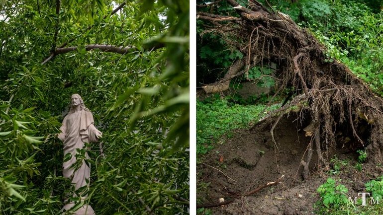 Сильний ураган з корінням вирвав дерево, але статуя Христа дивом вціліла - фото 1