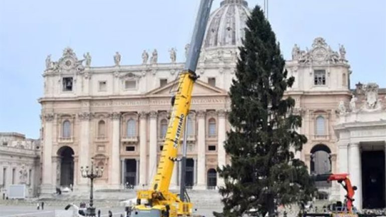 В Ватикане установили рождественскую ель - фото 1