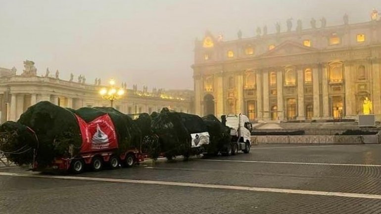 Через протести екологів Ватикан прикрашатиме інша різдвяна ялинка - фото 1