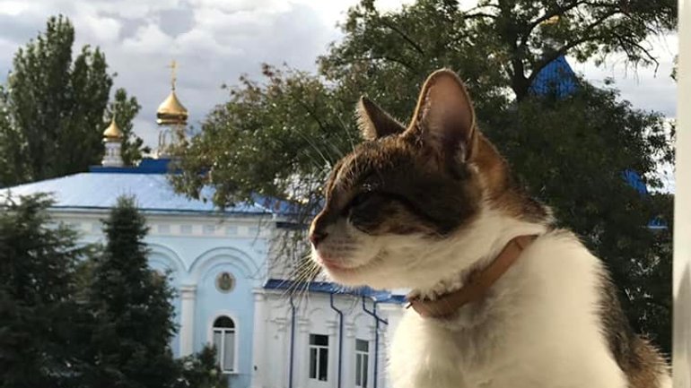 Настоятелька жіночого монастиря в Одесі привітала з Днем кота - фото 1
