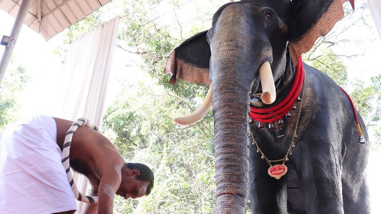 Індійський храм використовуватиме механічного слона для проведення ритуалів - фото 1