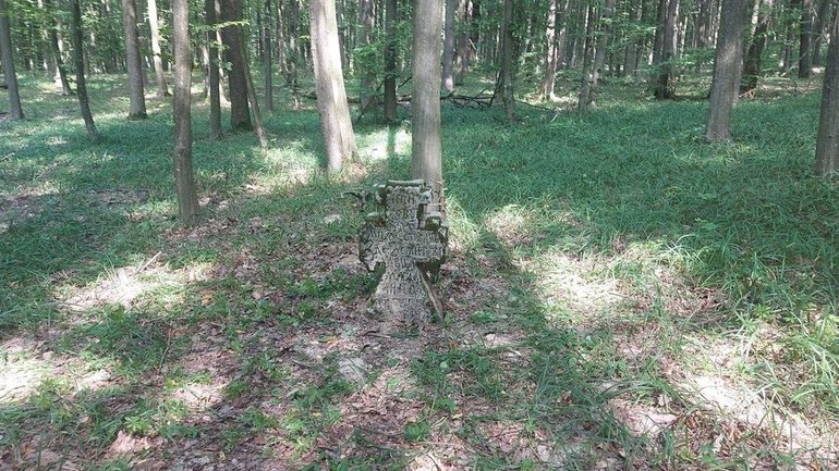Один з "чумних" хрестів, знайдений у лісі біля Сатанова, серпень 2023. - фото 1