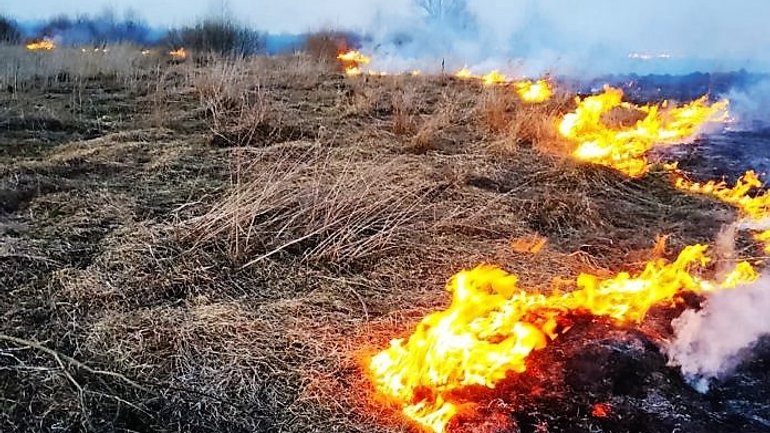 На Прикарпатті рятувальники долучають священиків до інформування про заборону спалювання сухої трави - фото 1