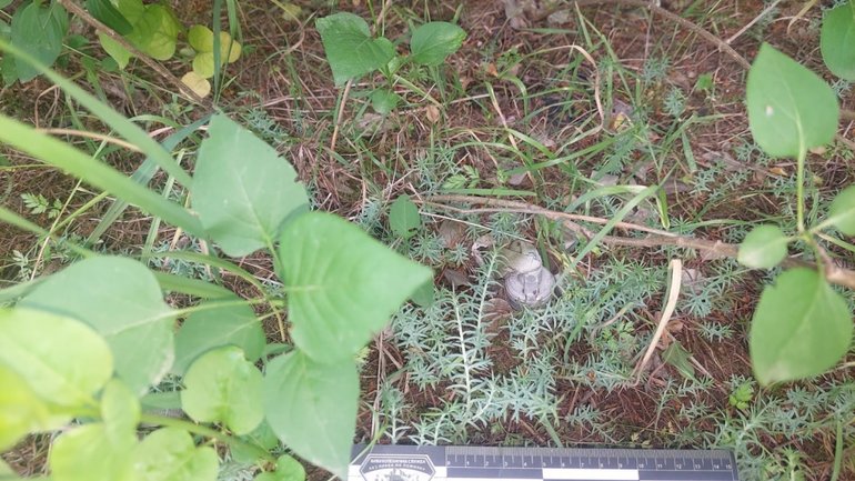 У поминальні дні на кладовищі у Миколаєві знайшли касетний боєприпас - фото 1
