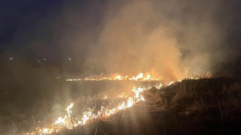 Пожежники ліквідували займання на старому єврейському кладовищі в Бердичеві - фото 1