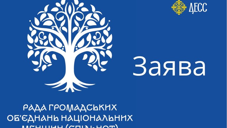 Рада громадських об’єднань національних меншин закликала ДЕСС до системних реформ у сфері захисту їх прав - фото 1