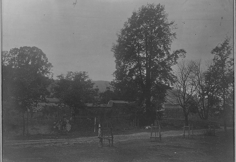 Крехівський монастир на світлинах 1900-х років - фото 54461