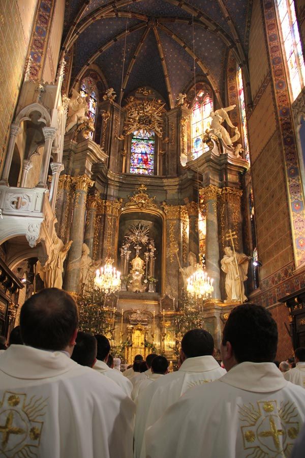 Roman Catholics Celebrate 600th Anniversary of Lviv Metropolitanate - фото 54635