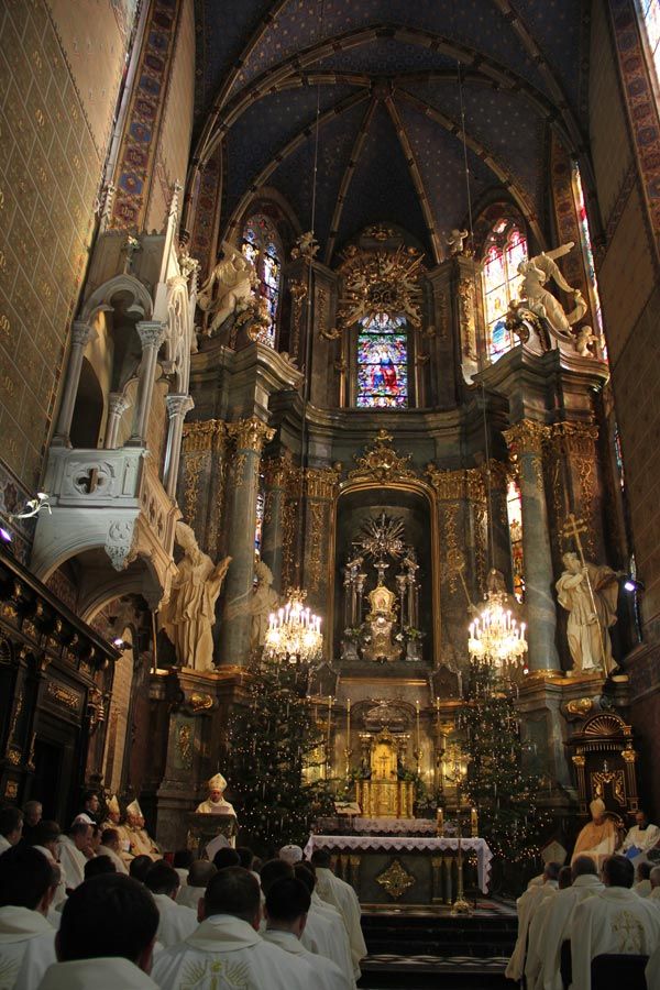 Roman Catholics Celebrate 600th Anniversary of Lviv Metropolitanate - фото 54637